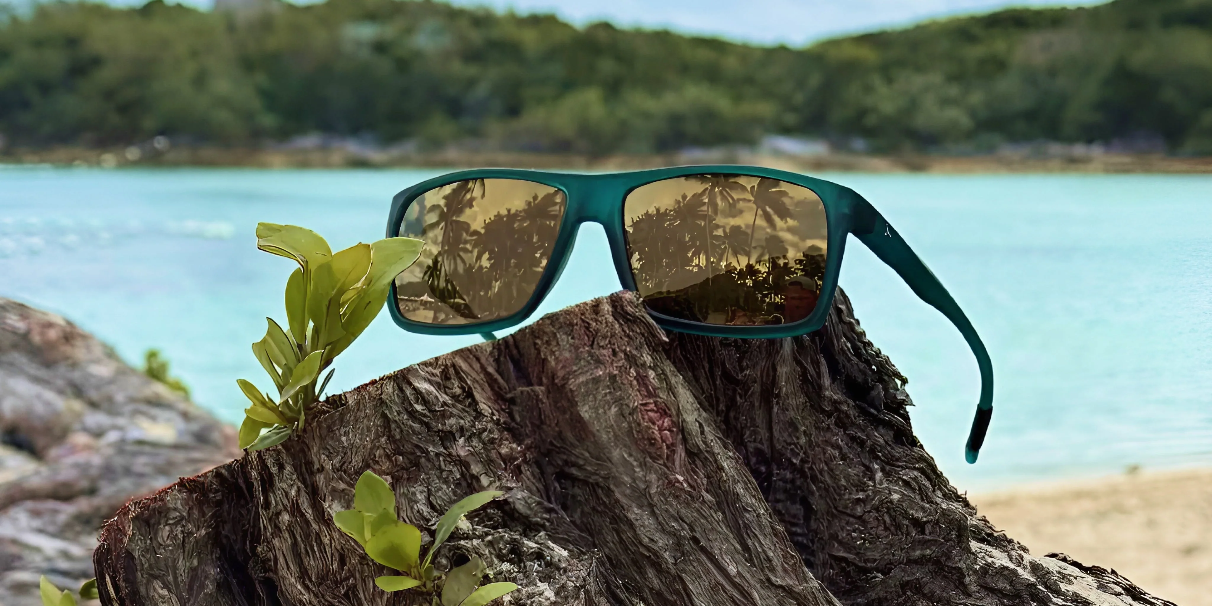SUNGLASSES