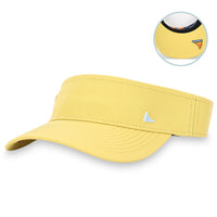 THE HORIZON (visor)
