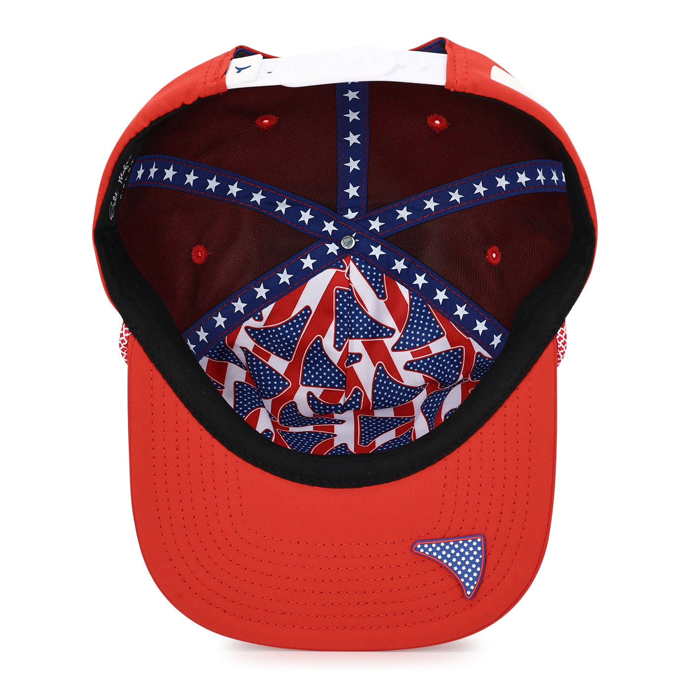 THE USA (p-flat)