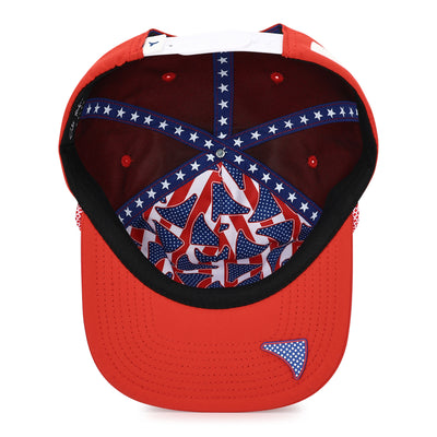 THE USA (p-flat)