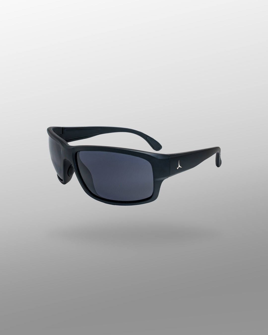 THE RAY (black/black)